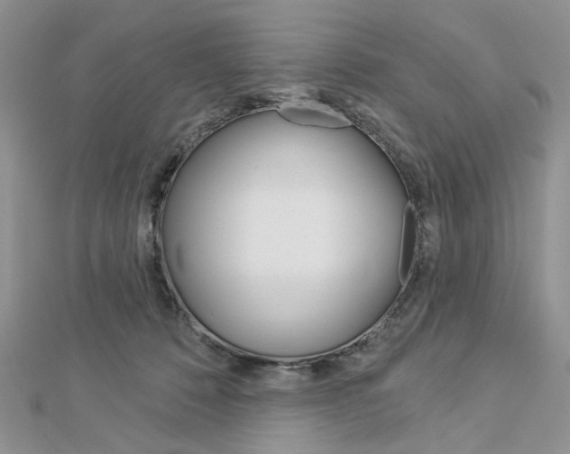 X0000113060320200908280953