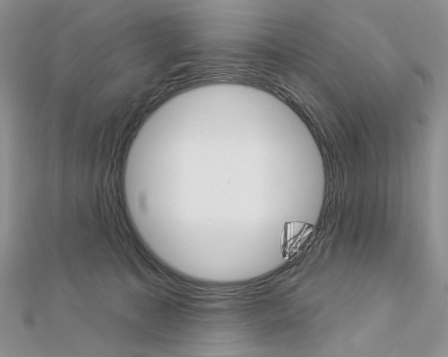 X0000113060323200908280953
