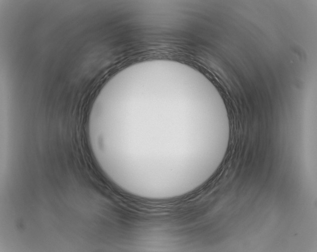 X0000113060324200908280953