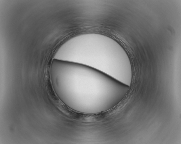 X0000113060325200908280953