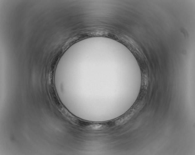 X0000113060326200908280953