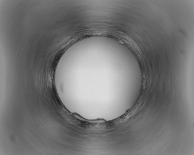 X0000113060329200908280953