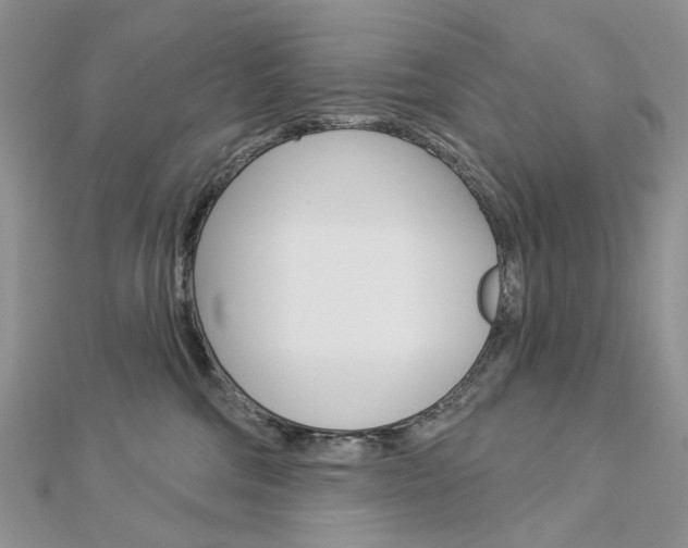 X0000113060330200908280953