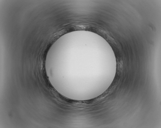 X0000113060331200908280953