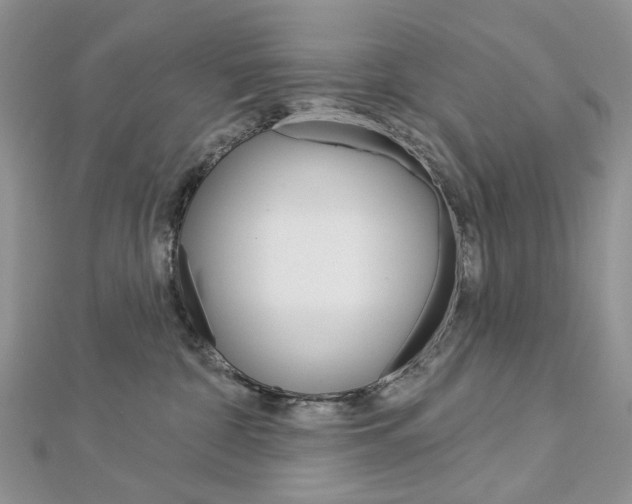 X0000113060332200908280953