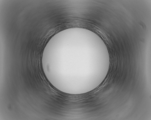 X0000113060333200908280953