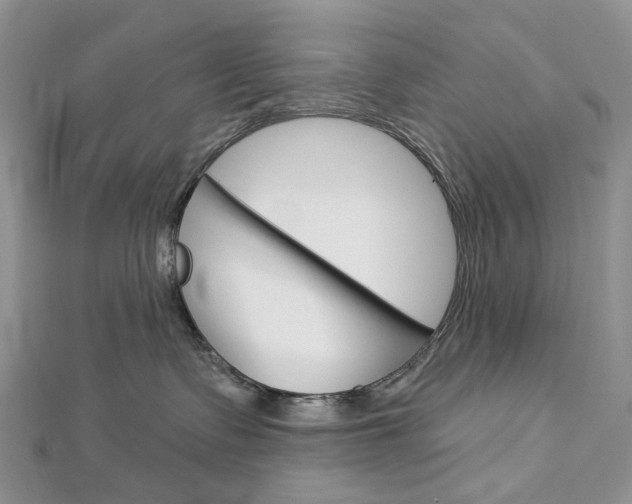 X0000113060335200908280953