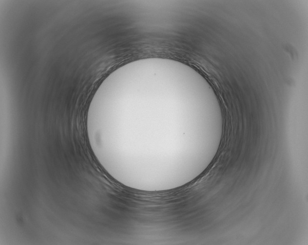X0000113060336200908280953