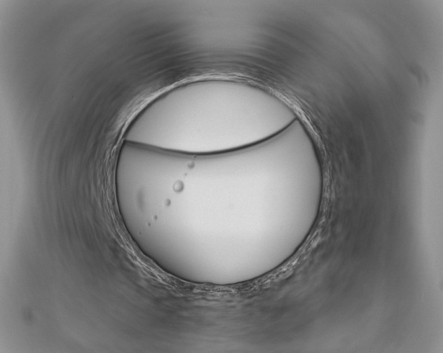 X0000113060337200908280952