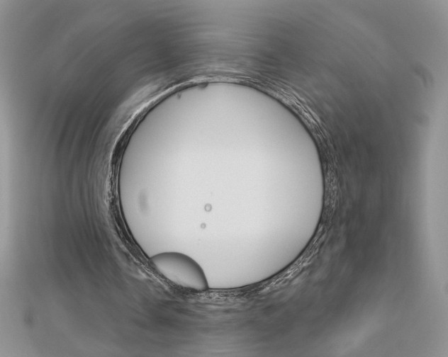 X0000113060338200908280952