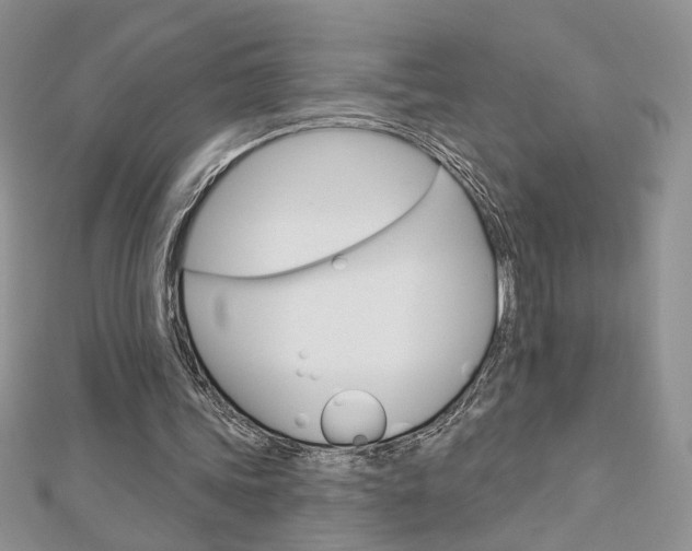 X0000113060339200908280952