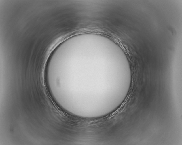 X0000113060340200908280952