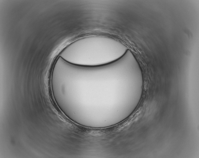 X0000113060341200908280952