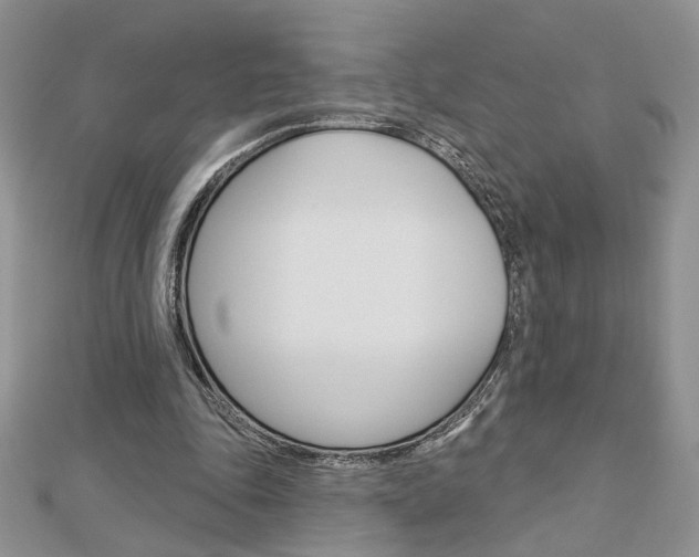 X0000113060343200908280952