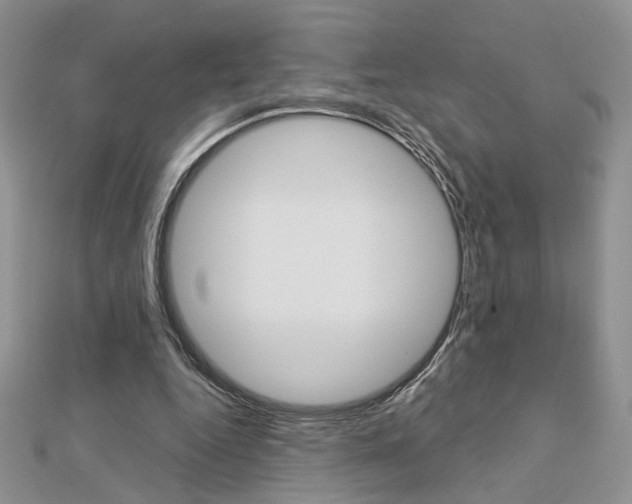 X0000113060344200908280952