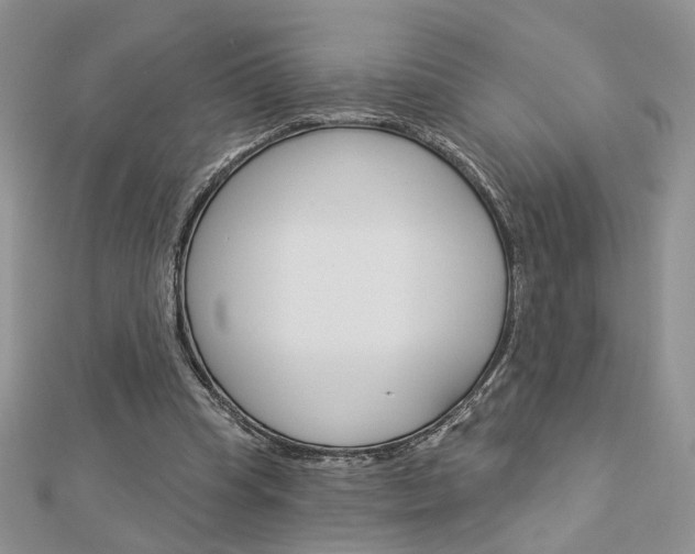 X0000113060345200908280952