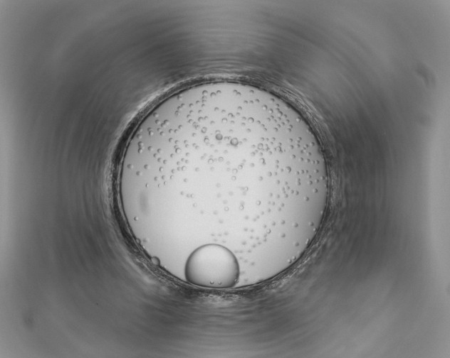 X0000113060346200908280952
