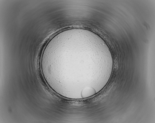 X0000113060347200908280952