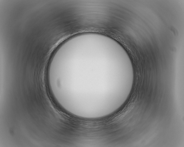 X0000113060348200908280952