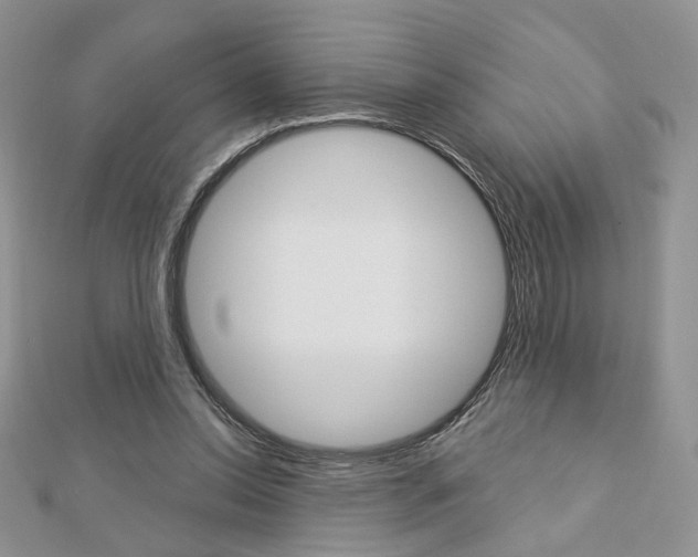 X0000113060350200908280952