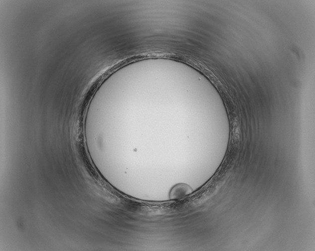 X0000113060351200908280952