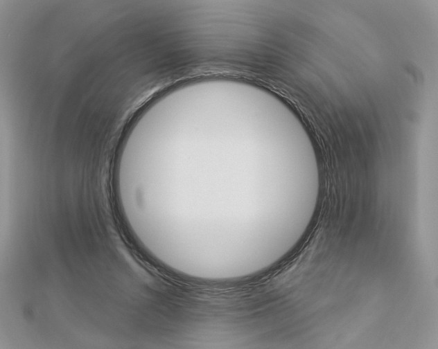 X0000113060352200908280952