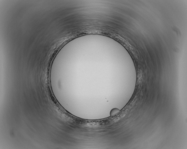 X0000113060353200908280952