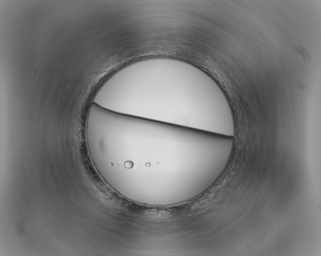 X0000113060354200908280952