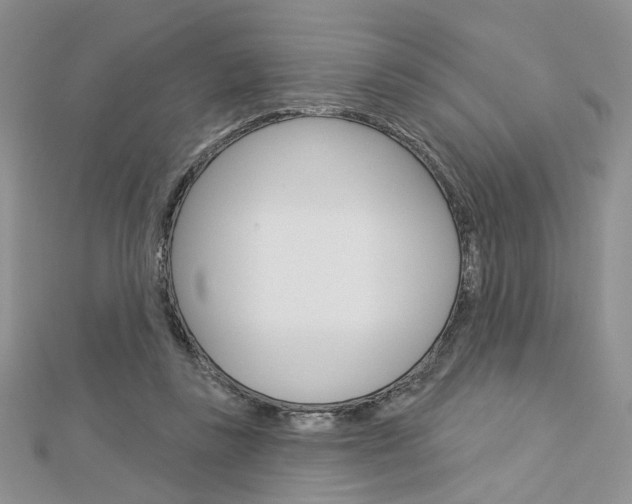 X0000113060355200908280953