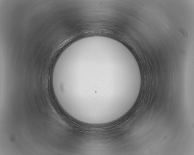 X0000113060356200908280953