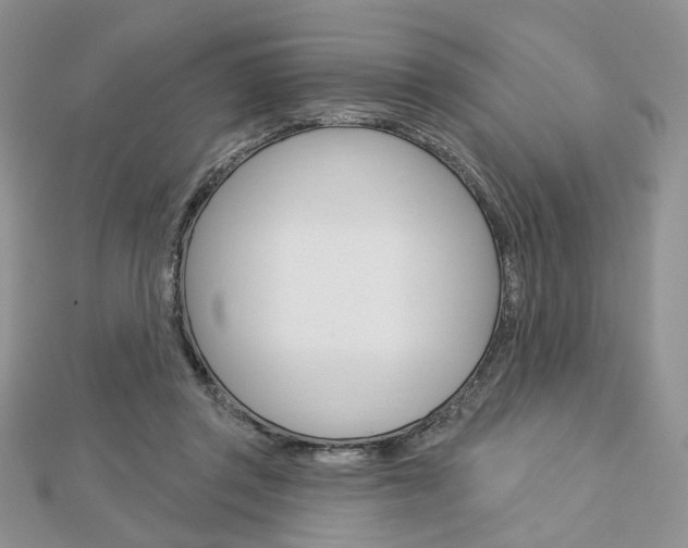 X0000113060357200908280953