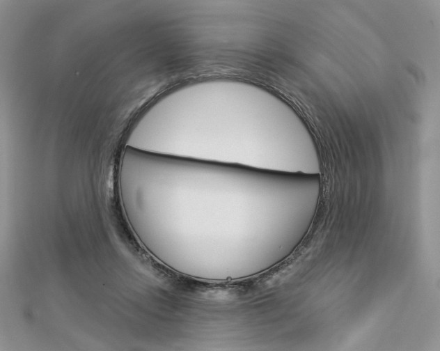 X0000113060358200908280953