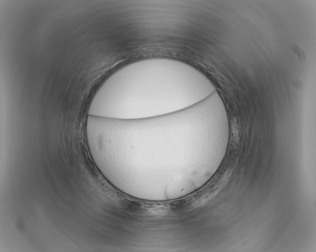 X0000113060359200908280953