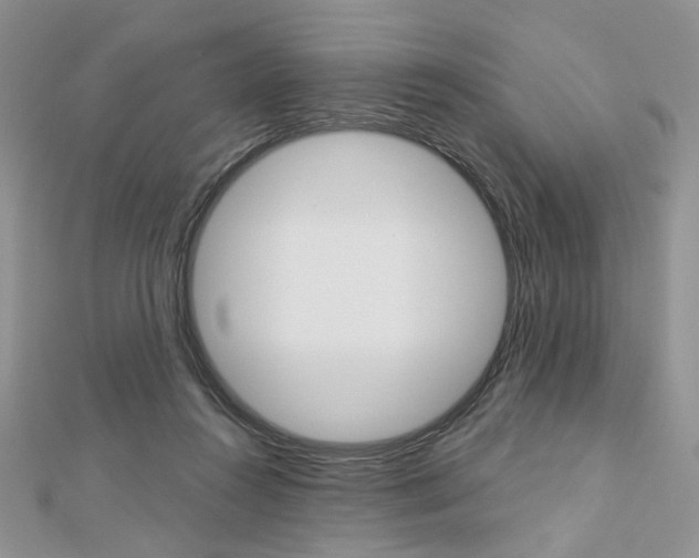 X0000113060360200908280953