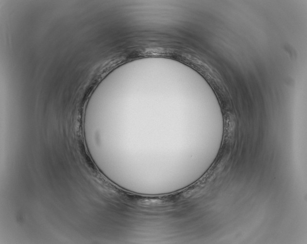 X0000113060361200908280953