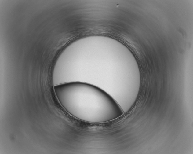 X0000113060362200908280953