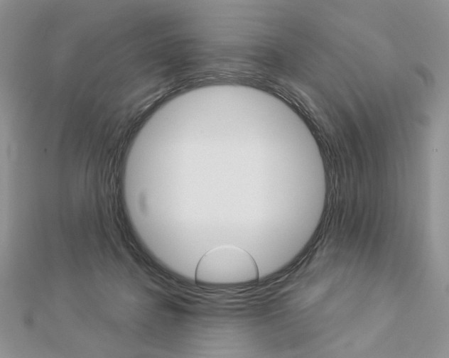 X0000113060364200908280953