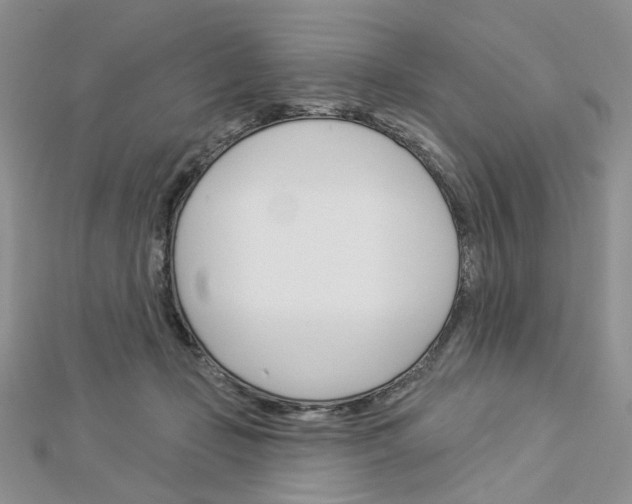 X0000113060365200908280953