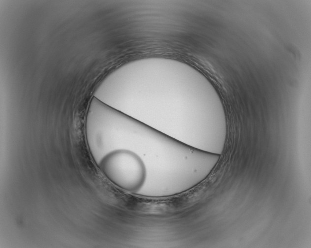 X0000113060366200908280953