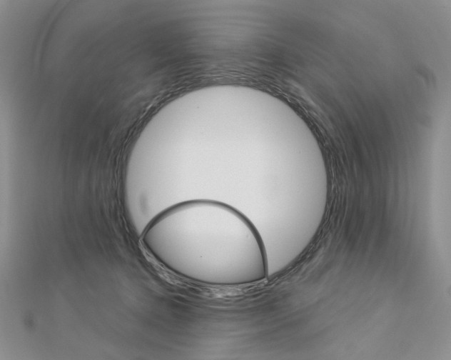 X0000113060368200908280953