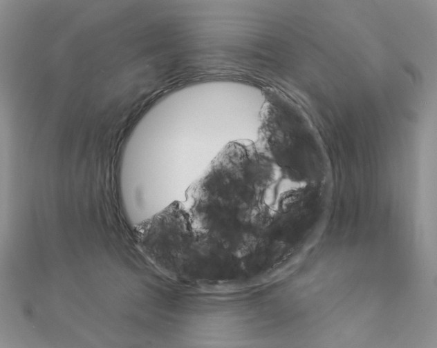 X0000113060369200908280953