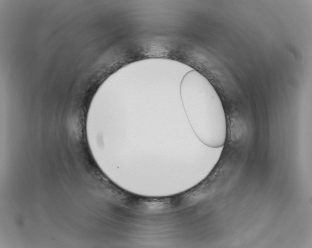 X0000113060370200908280953