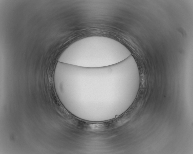 X0000113060371200908280953