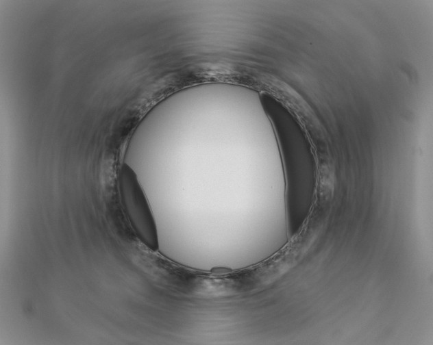 X0000113060372200908280953