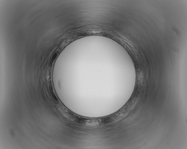 X0000113060373200908280953