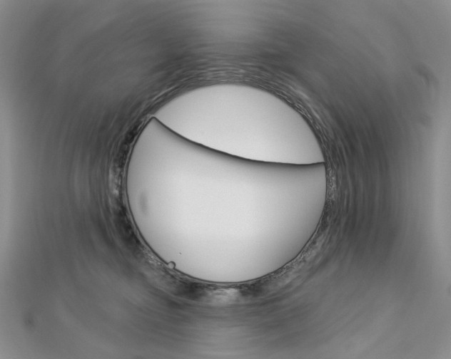 X0000113060374200908280953