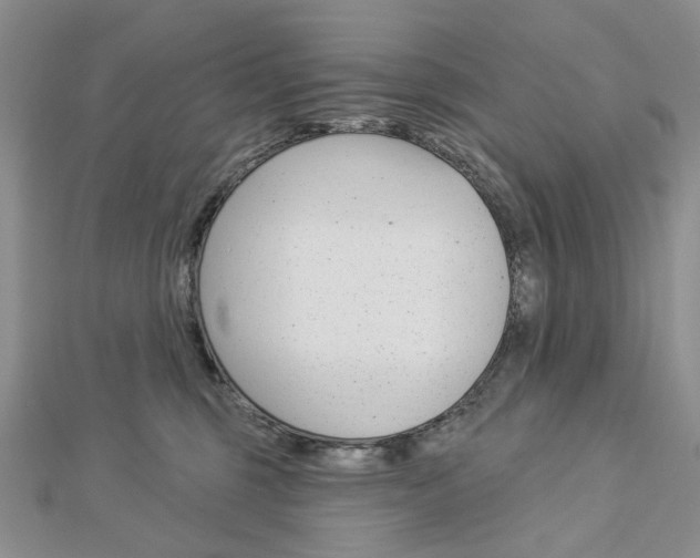 X0000113060375200908280953