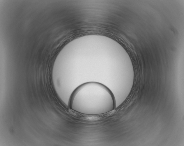 X0000113060376200908280953