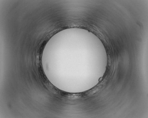 X0000113060378200908280953
