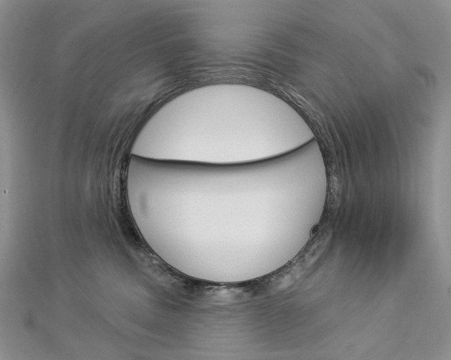 X0000113060379200908280953